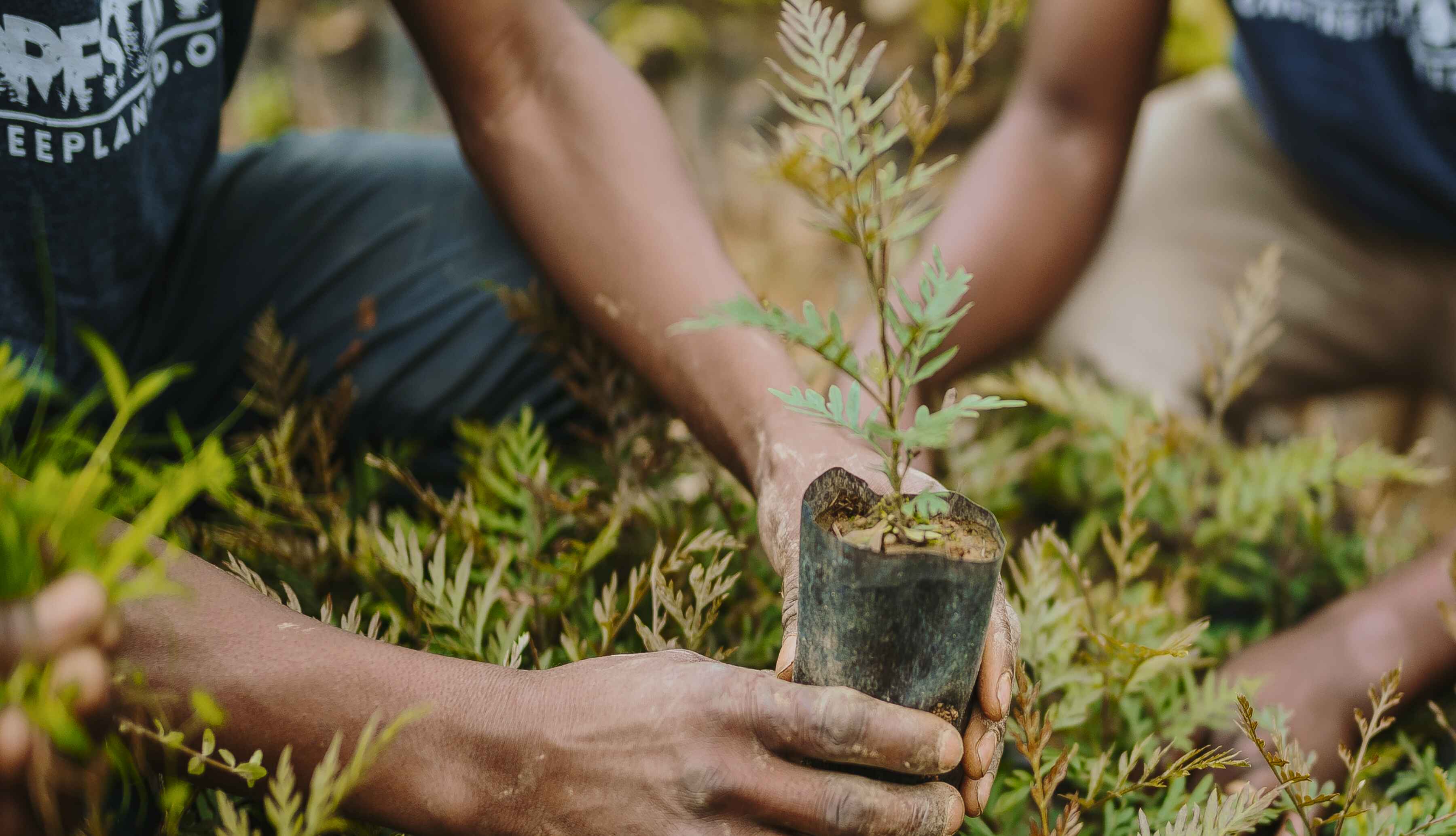 Style That Grows the Planet