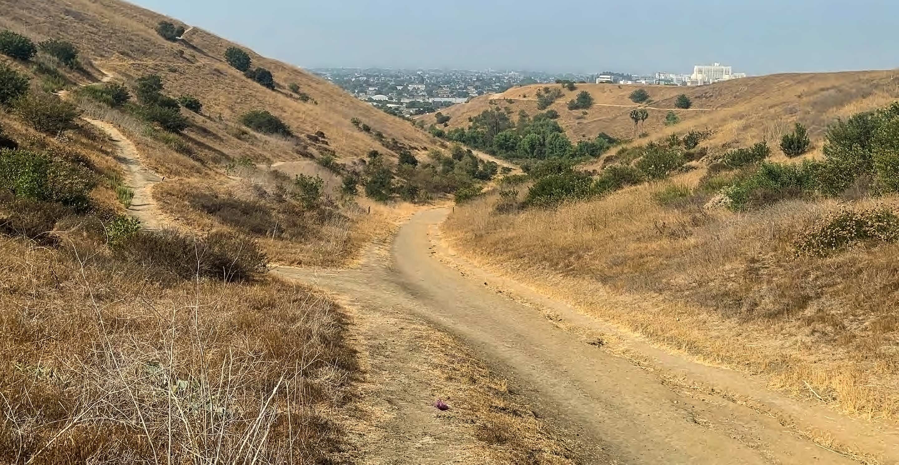 Ascot Hills Wildfire Resilience - Image 2