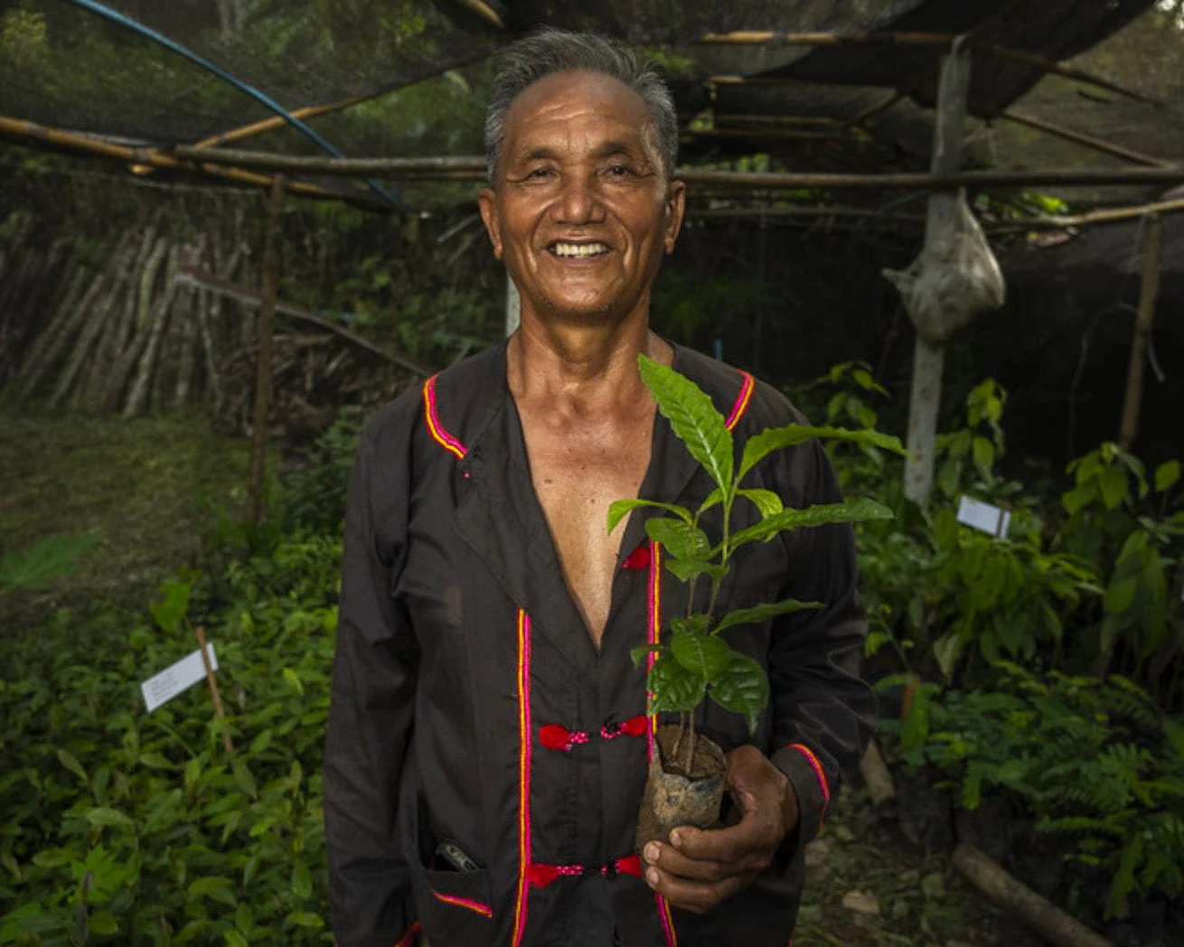 Plant Trees for Impact - Image 8