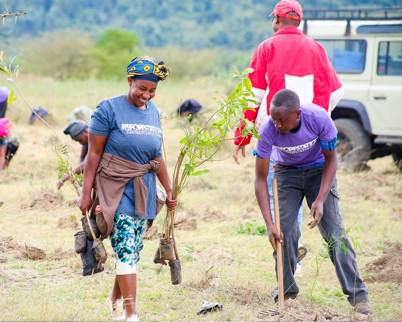Plant Trees for Impact - Image 4