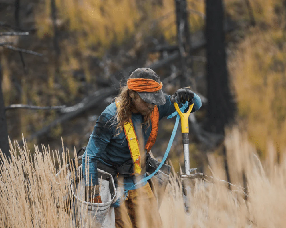 Plant Trees for Impact - Image 4