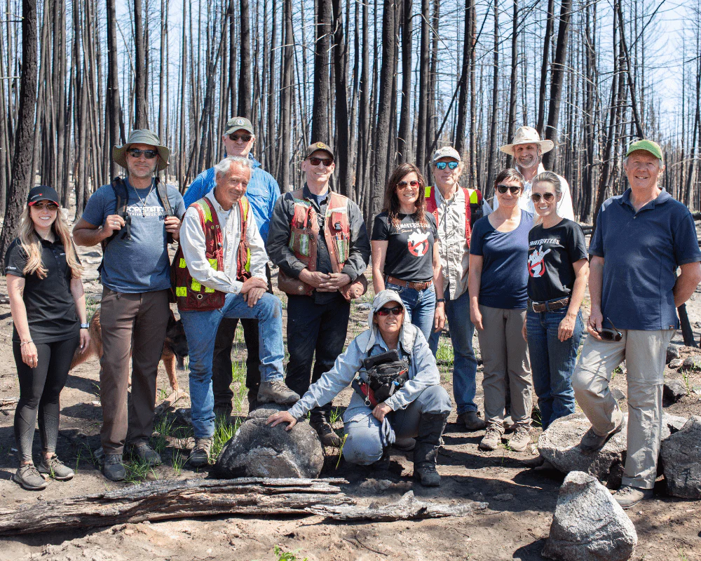 Plant Trees for Impact - Image 6