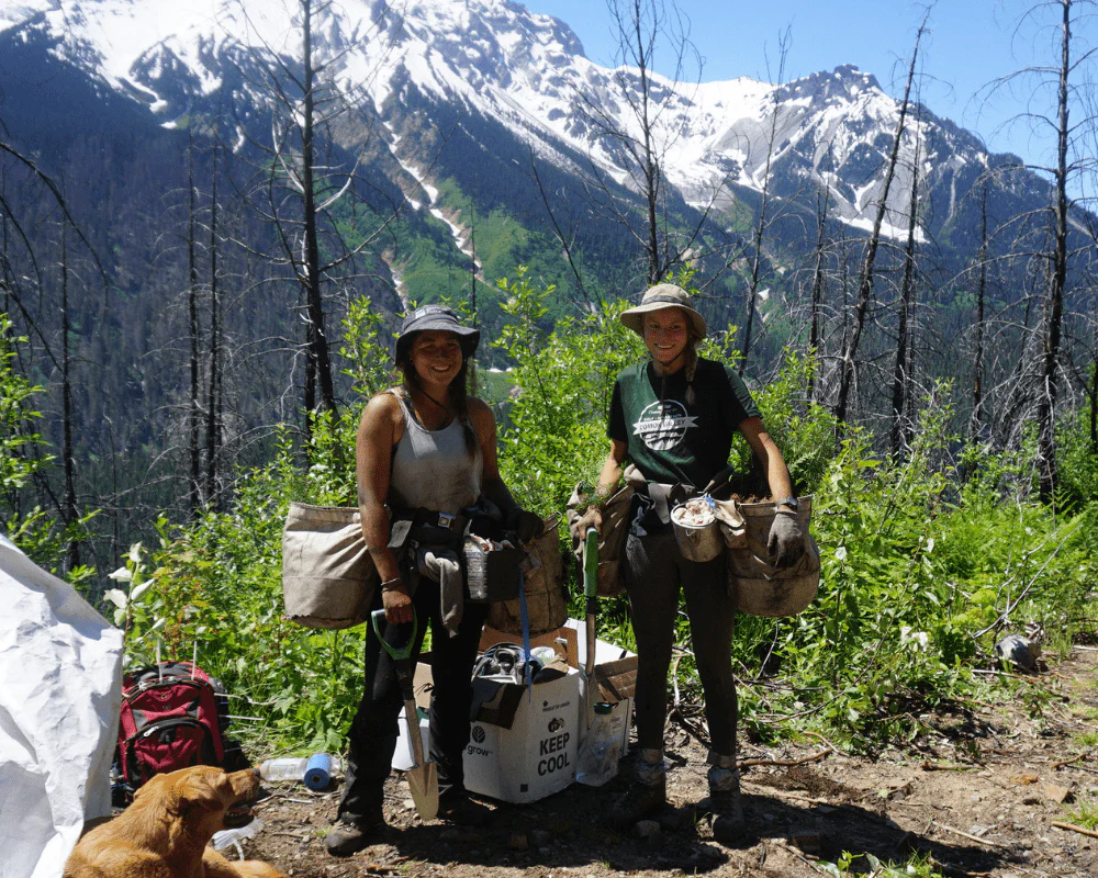 Plant Trees for Impact - Image 8