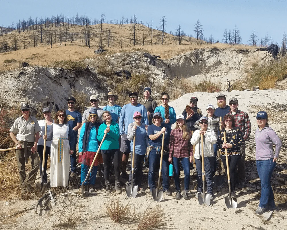 Plant Trees for Impact - Image 8