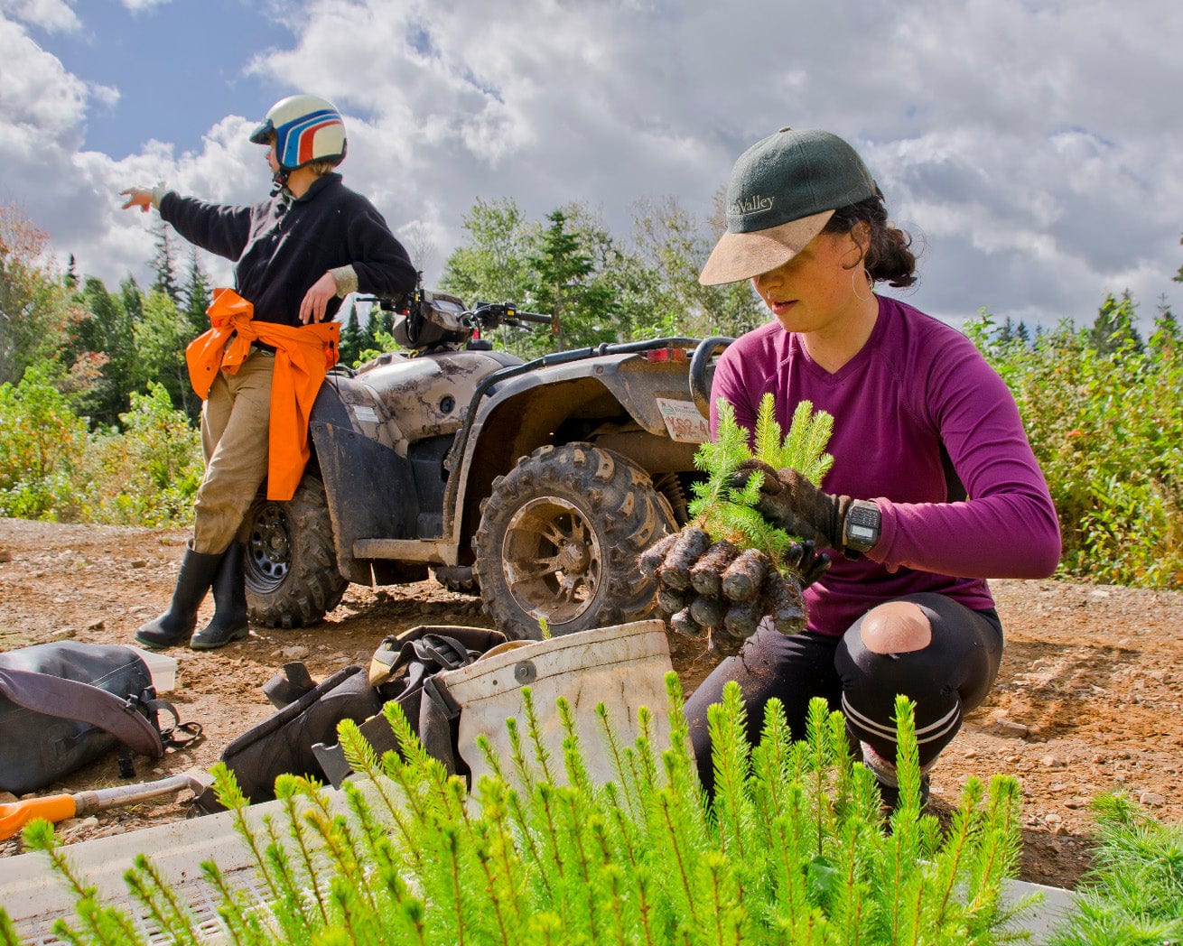 Plant Trees for Impact - Image 8