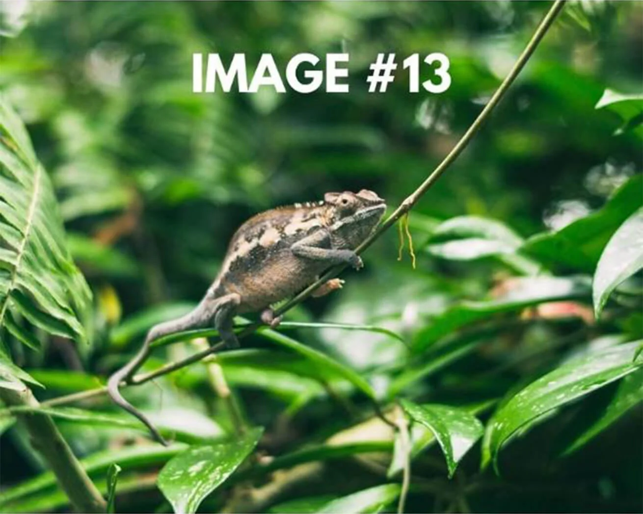 Custom Greeting Card - Image 14