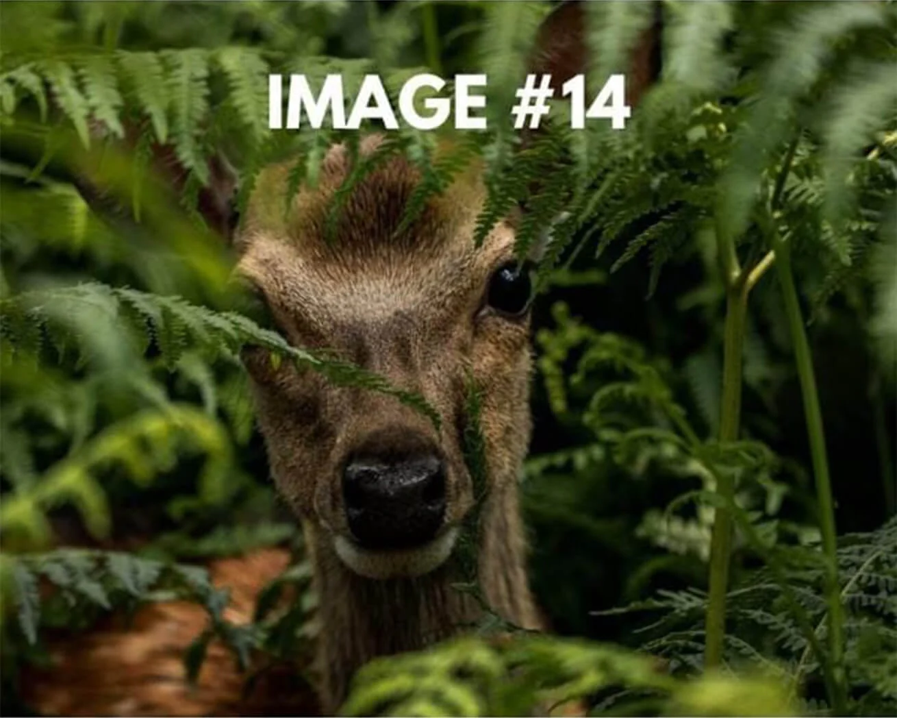 Custom Greeting Card - Image 15