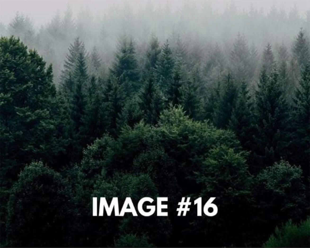Custom Greeting Card - Image 17