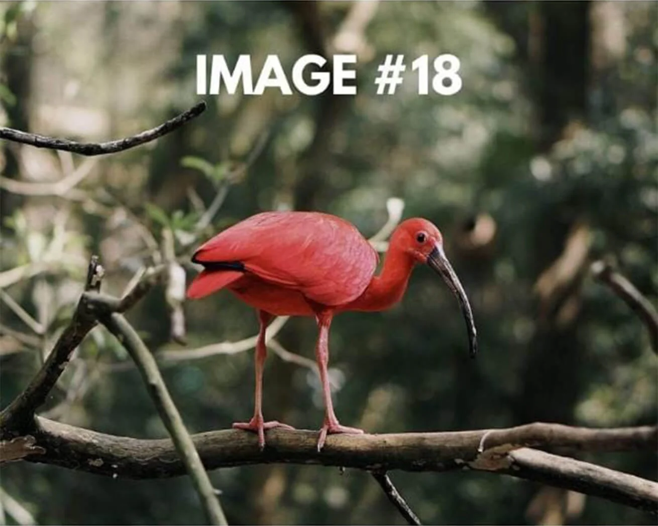 Custom Greeting Card - Image 19