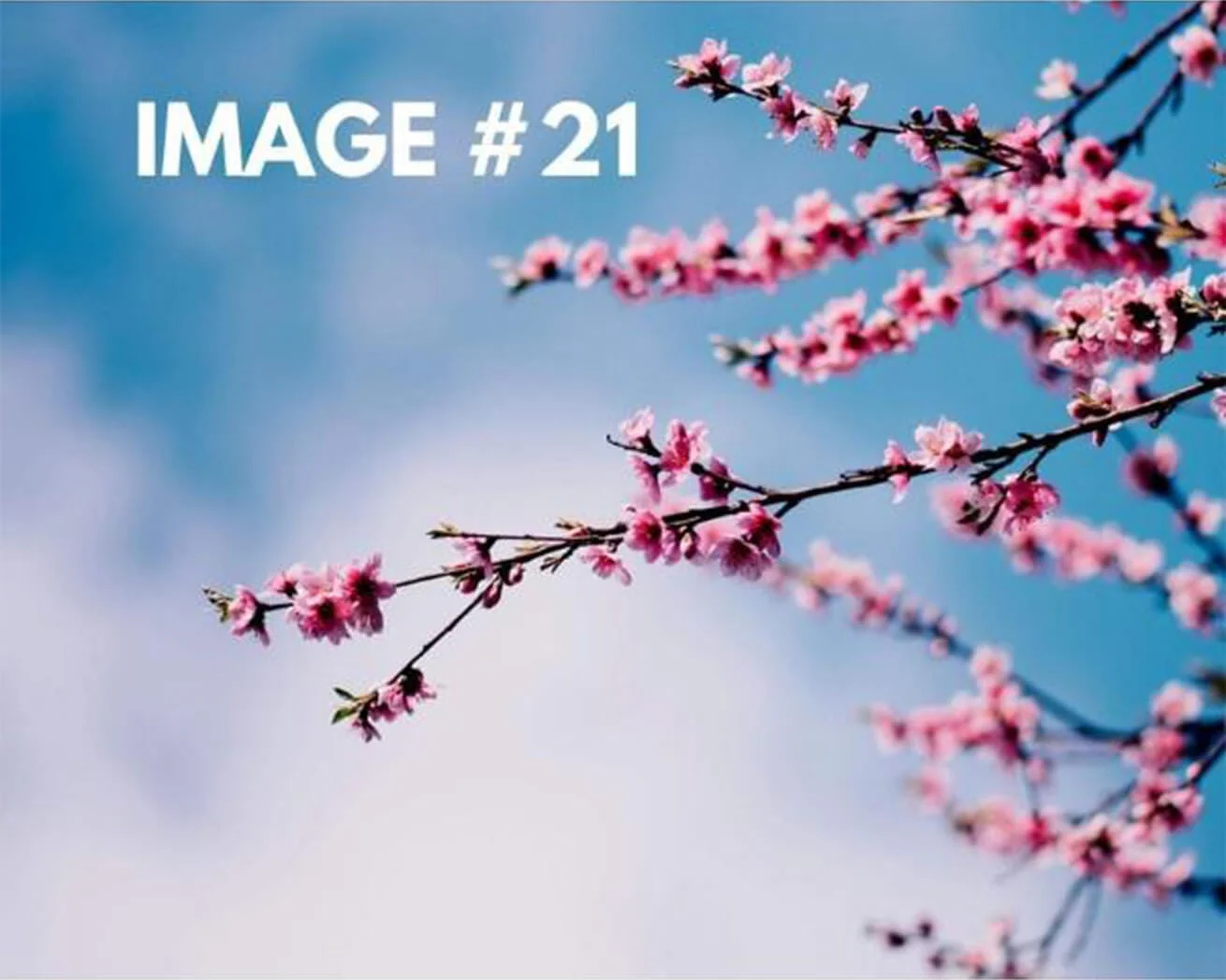 Custom Greeting Card - Image 22