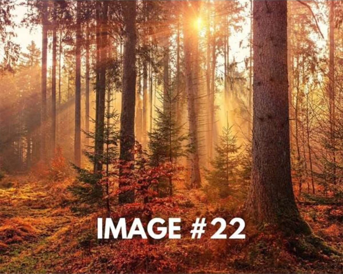 Custom Greeting Card - Image 23