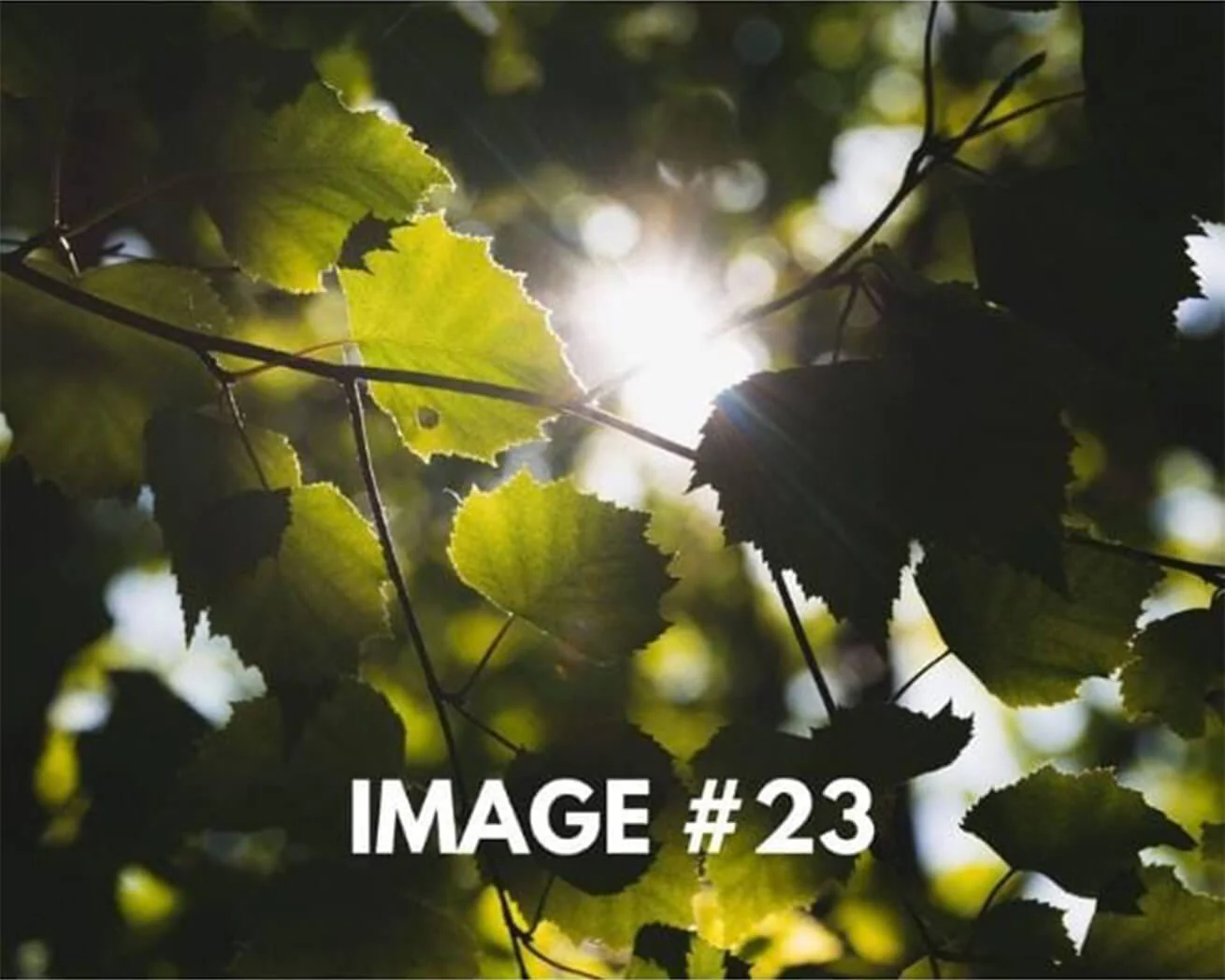 Custom Greeting Card - Image 24