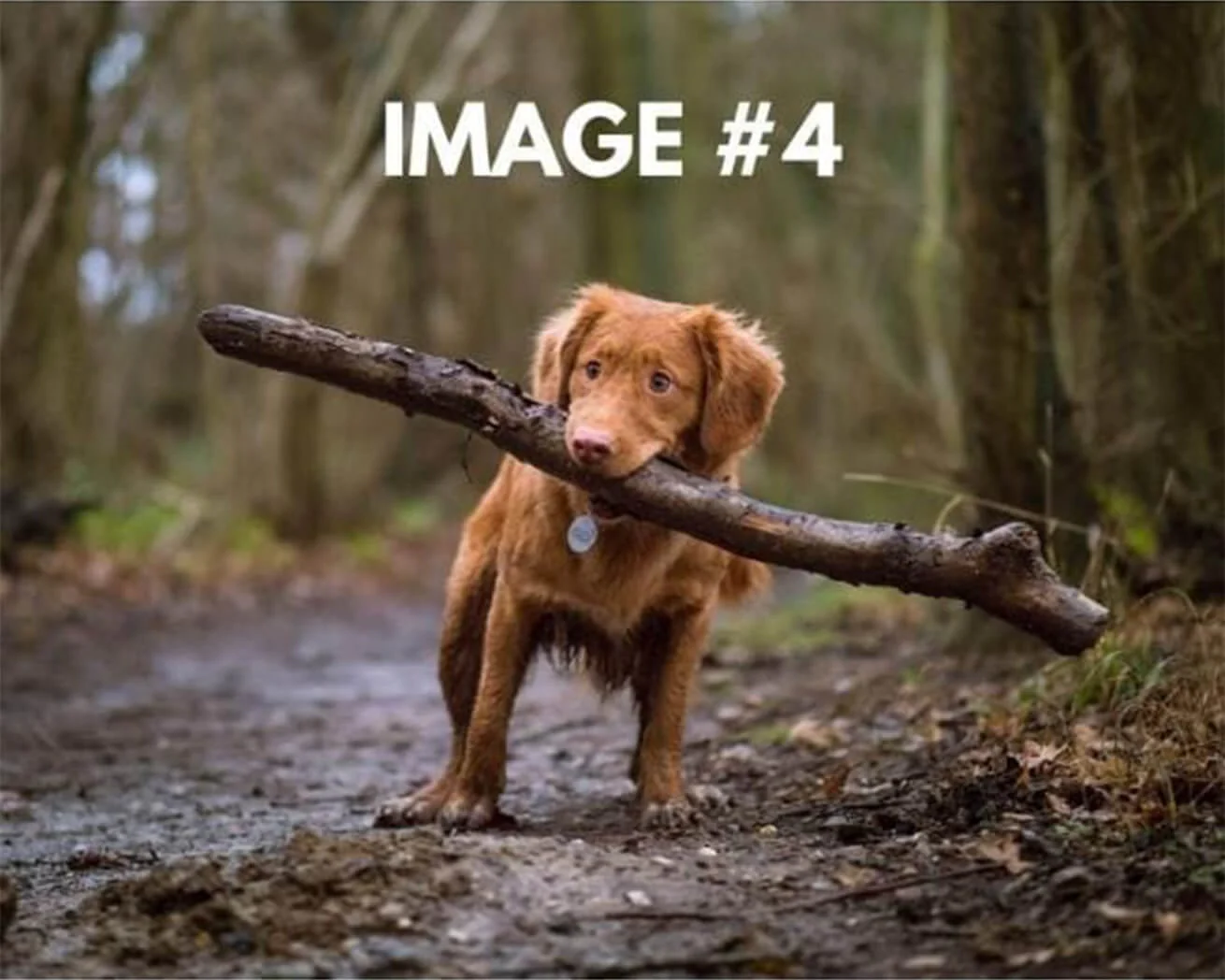 Custom Greeting Card - Image 5