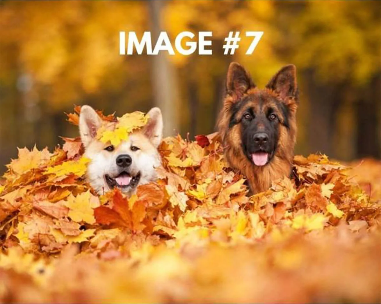 Custom Greeting Card - Image 8
