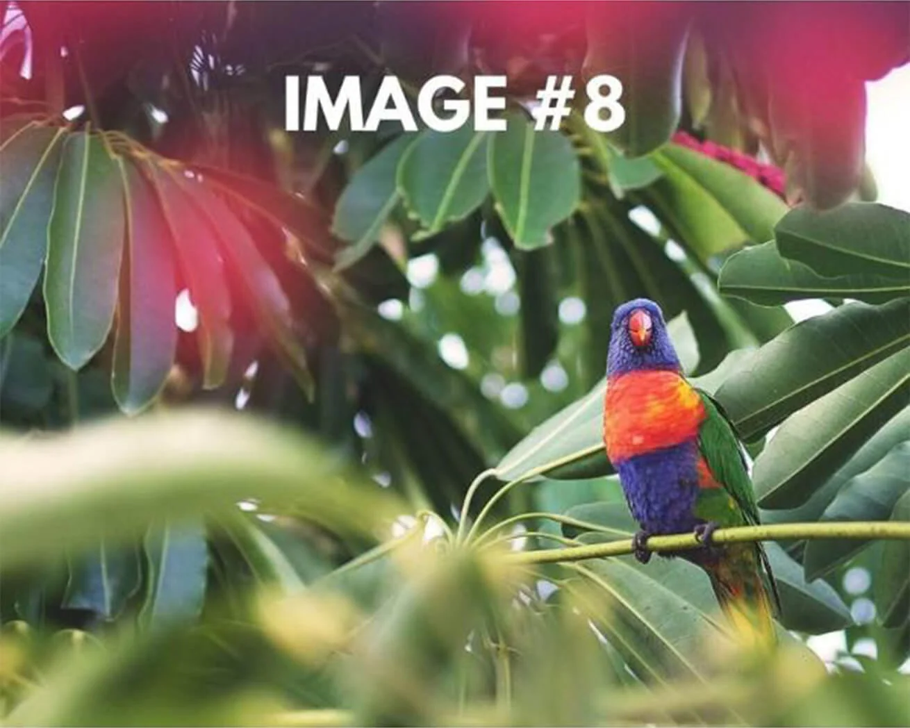 Custom Greeting Card - Image 9