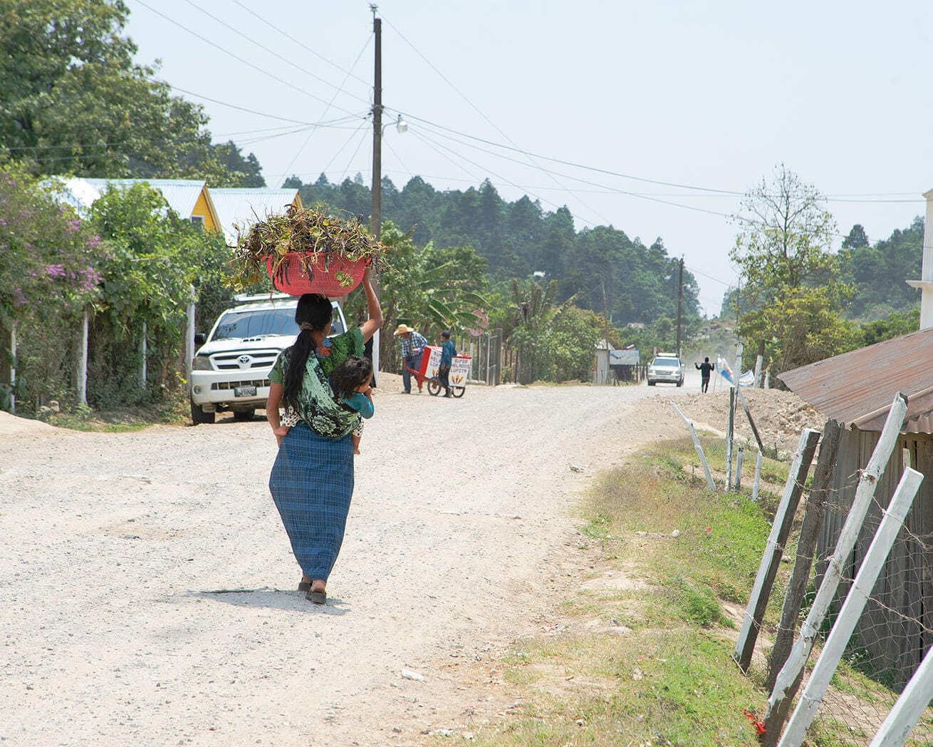 Plant Trees for Impact - Image 10
