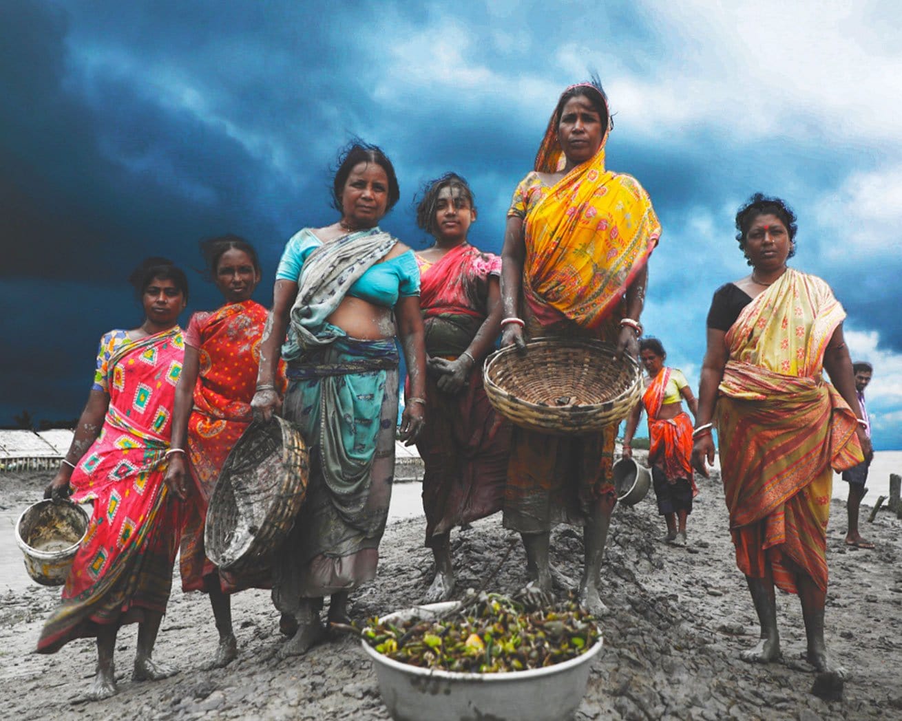 Plant Trees for Impact - Image 3