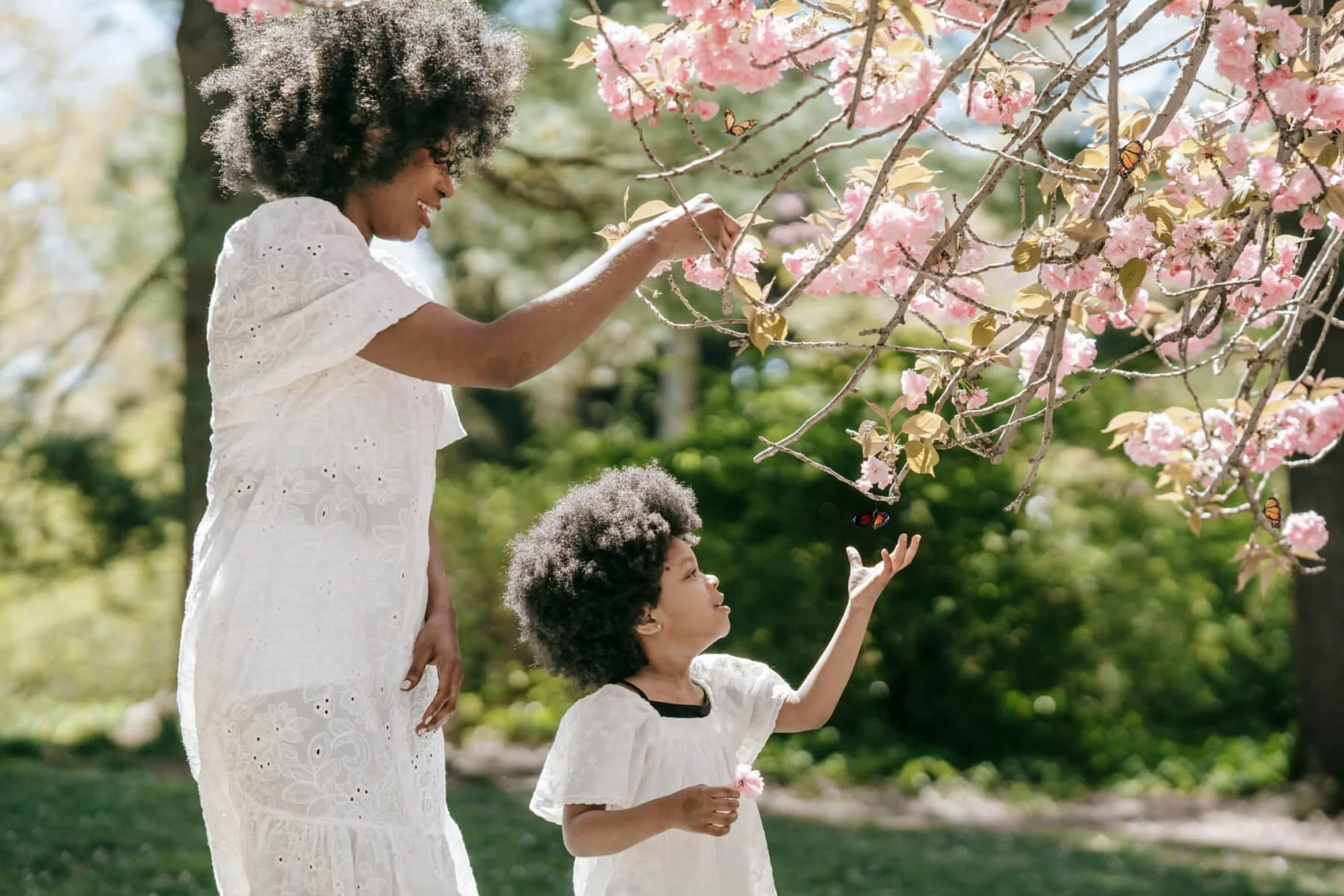 Gift Trees for Mother’s Day - Image 3
