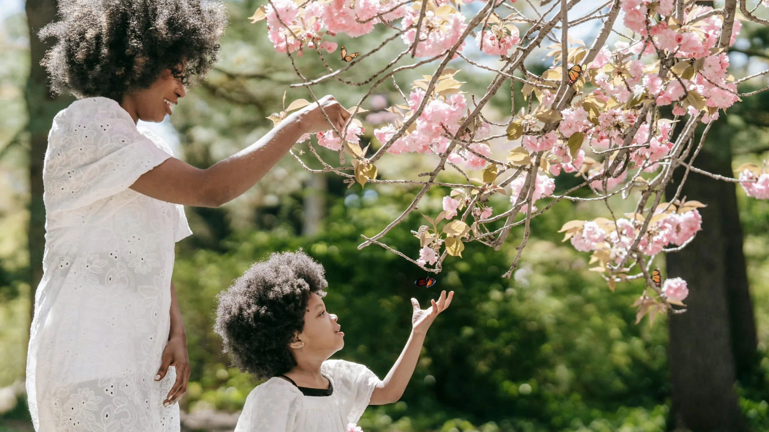 Gift Trees for Mother’s Day - Image 4