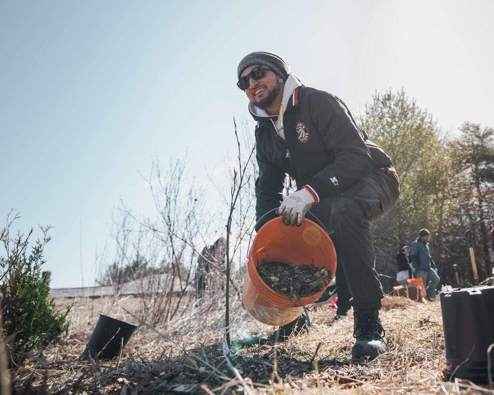 Plant Trees for Impact - Image 3
