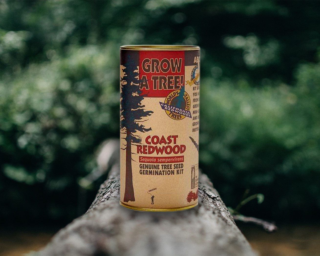 Plant A Tree Kit - Image 2