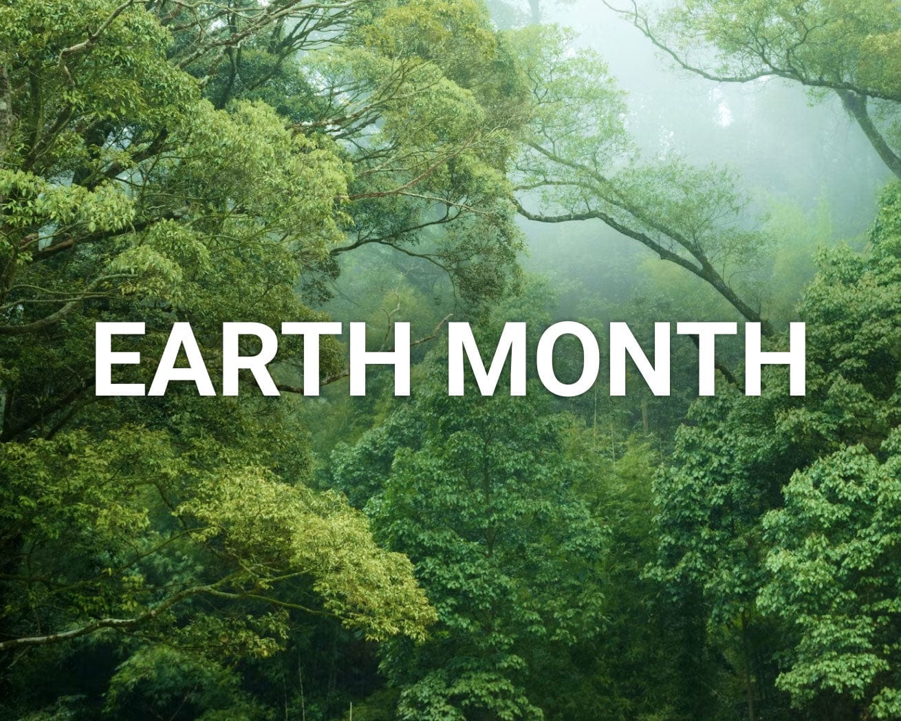 Plant Trees for Earth Day - Image 3