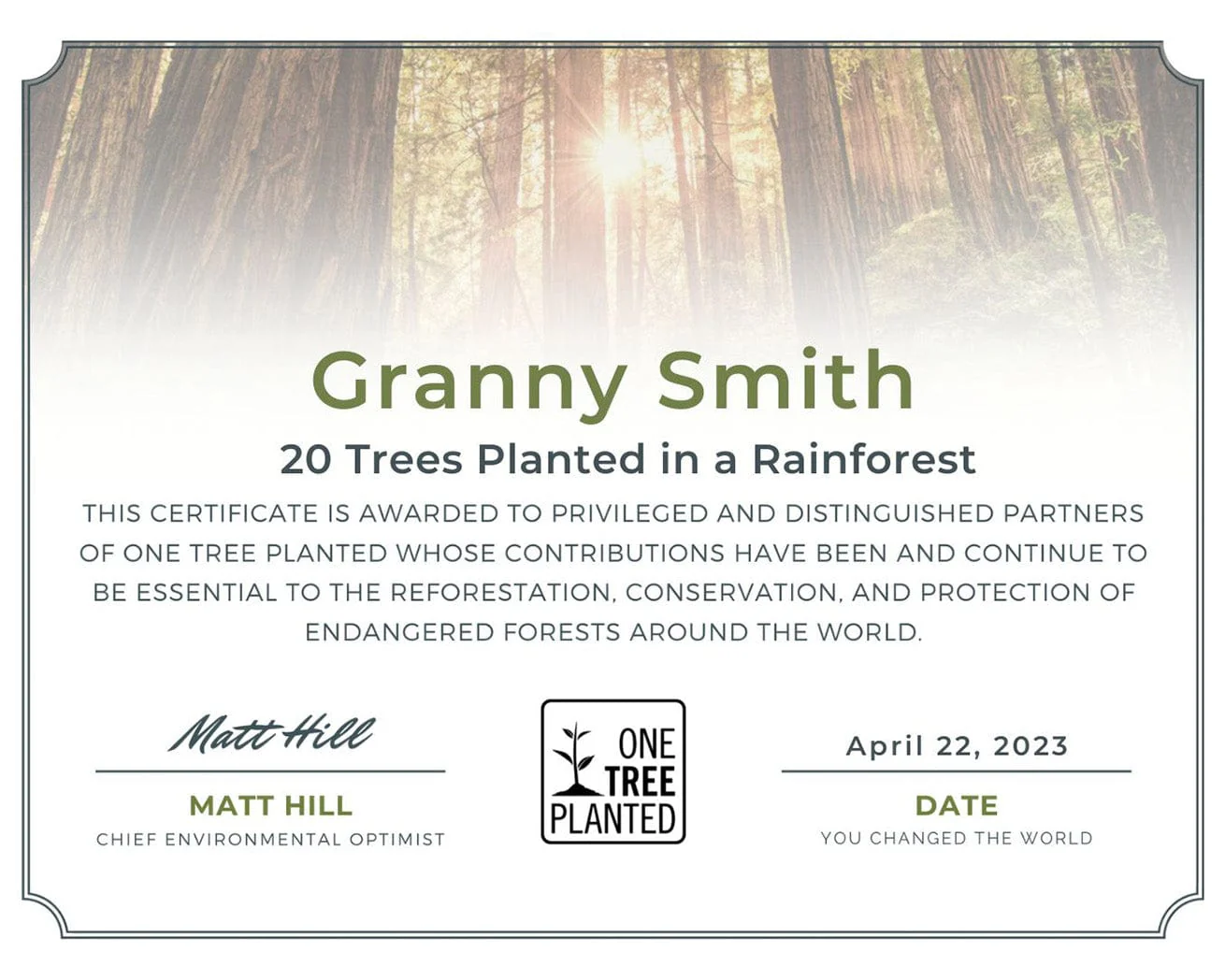Plant Trees for Earth Day - Image 8