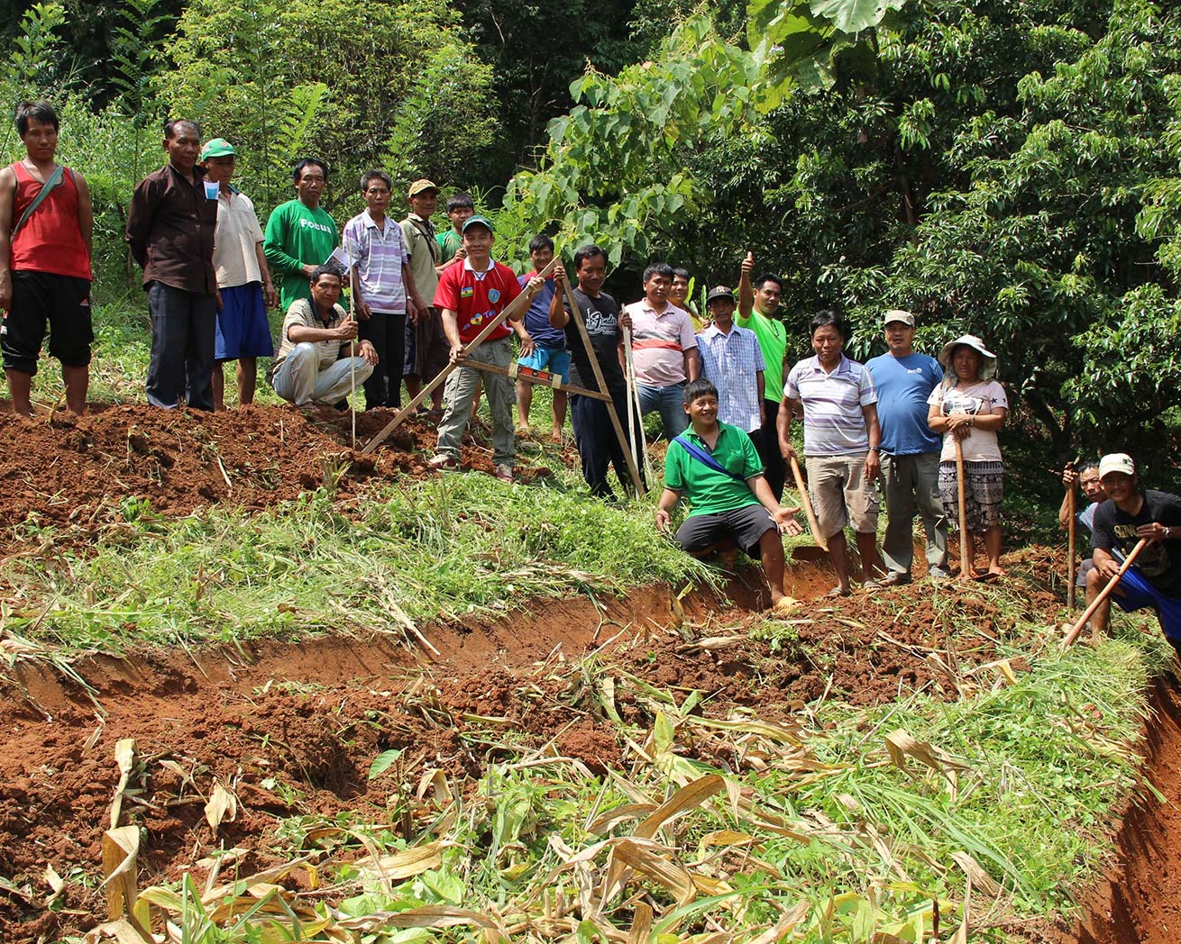 Plant Trees for Impact - Image 3