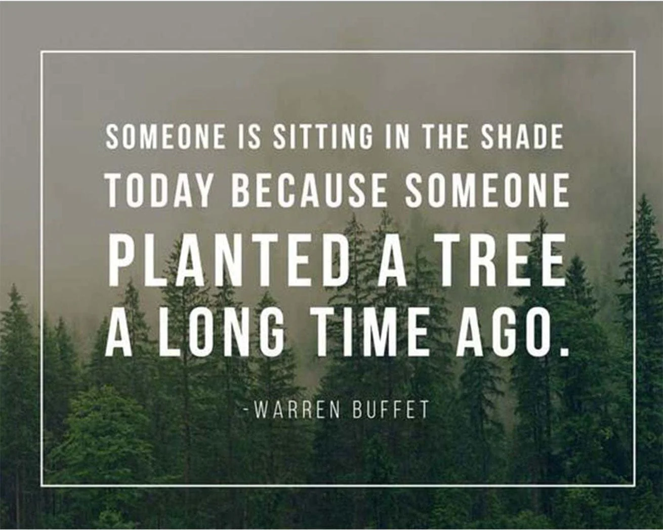 Tree Quote Card - Image 5