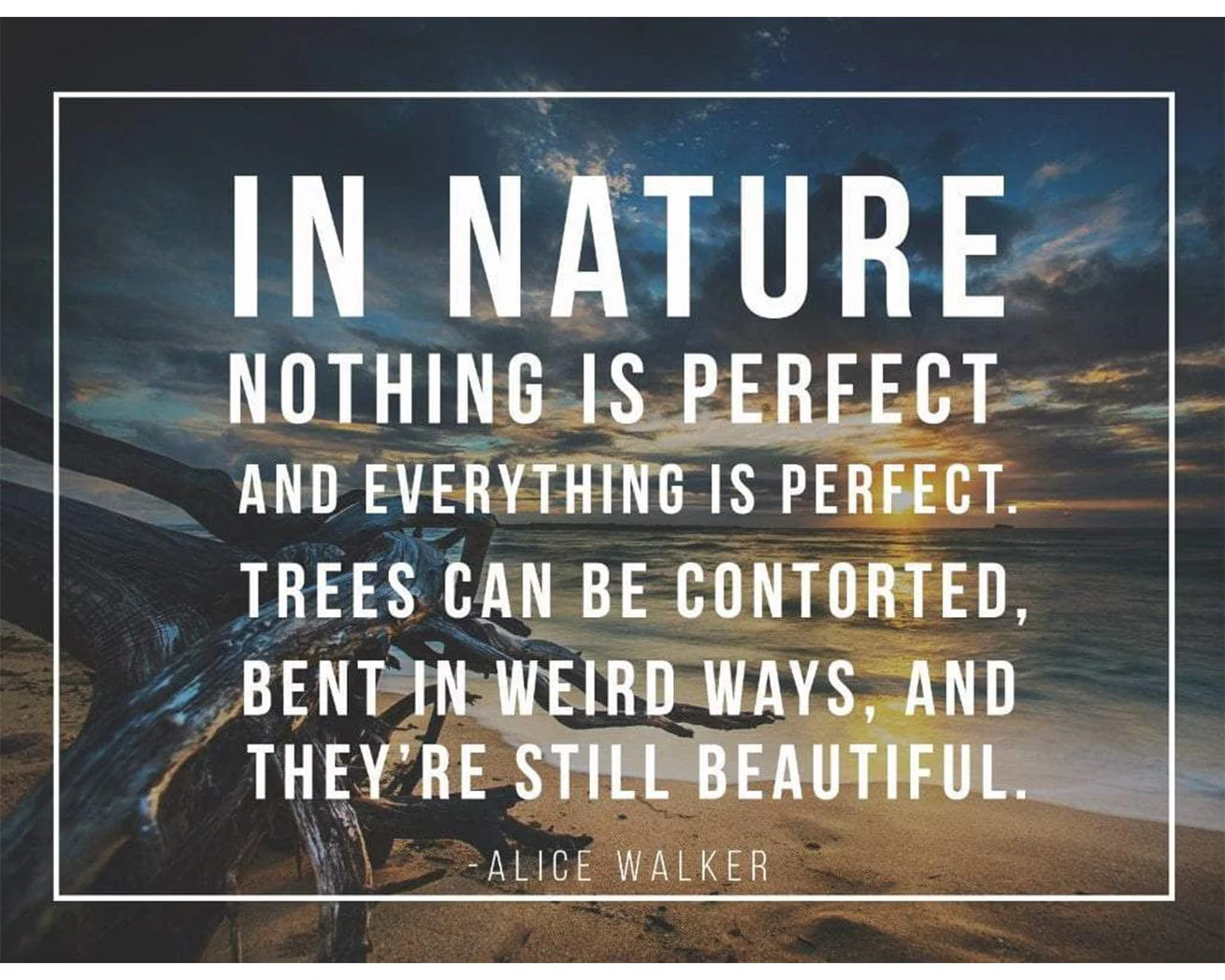 Tree Quote Card - Image 6