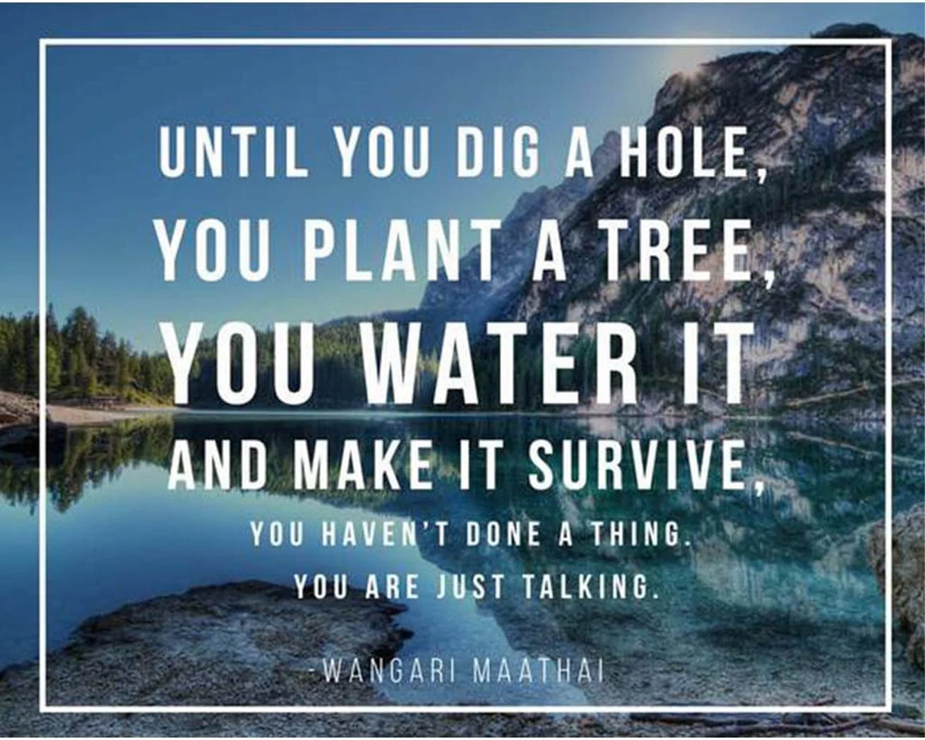 Tree Quote Card - Image 7