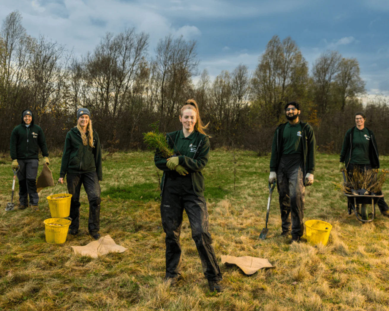 Plant Trees for Impact - Image 3