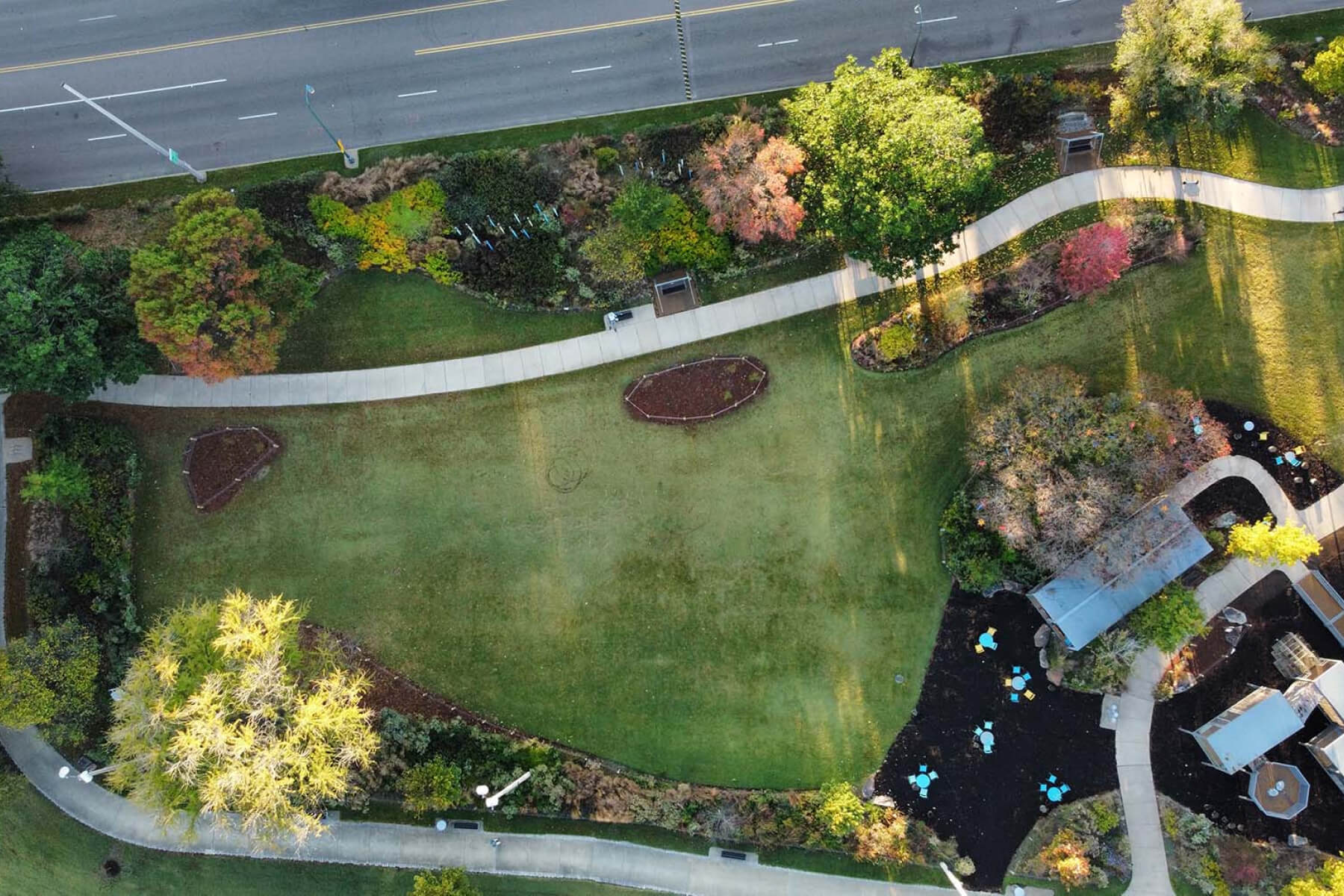 Urban Forestry Action Fund