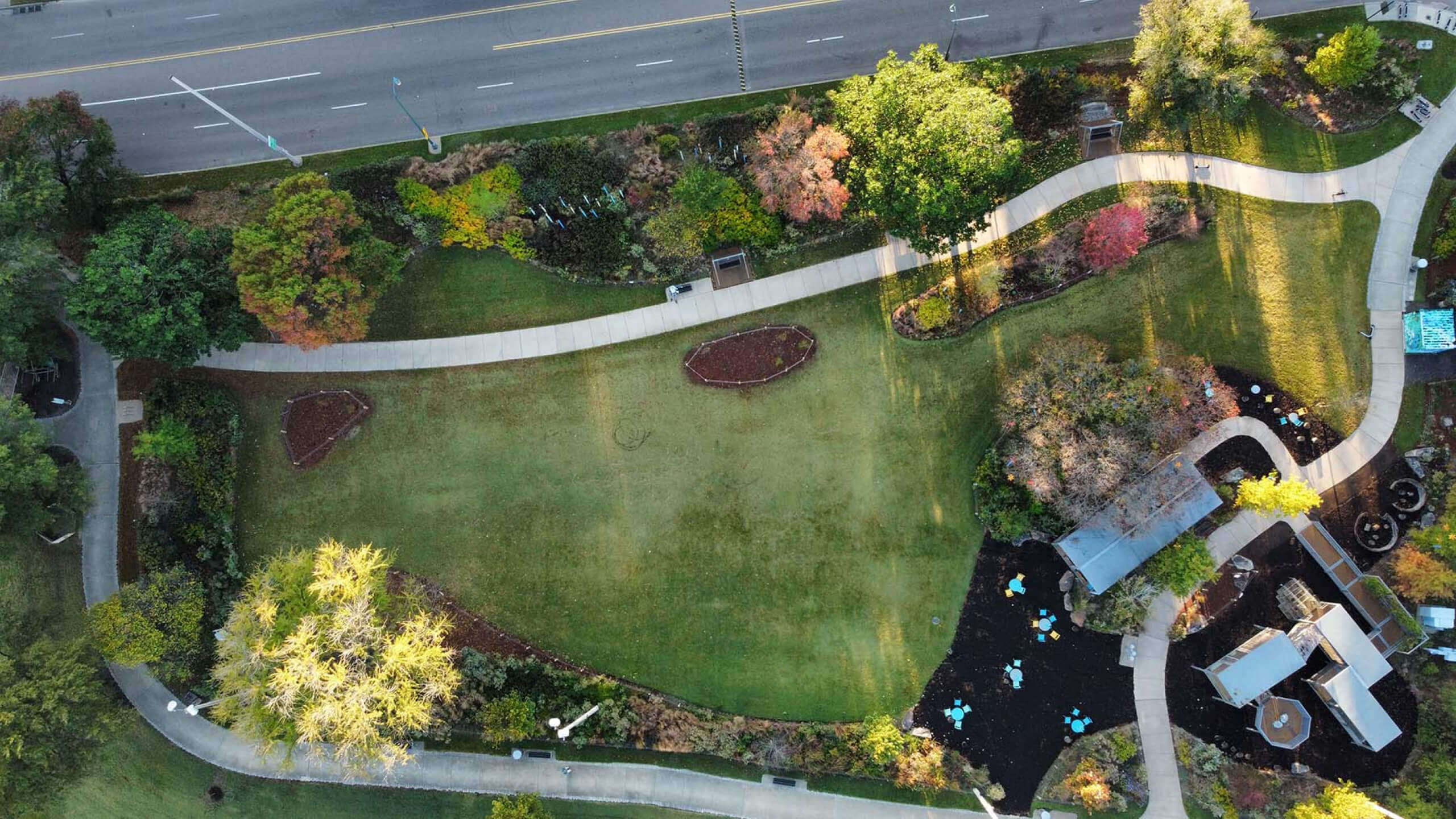 Urban Forestry Action Fund - Image 2