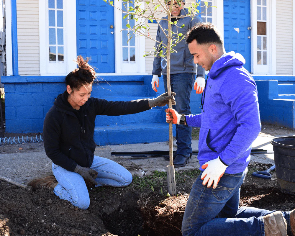 Urban Forestry Action Fund - Image 4