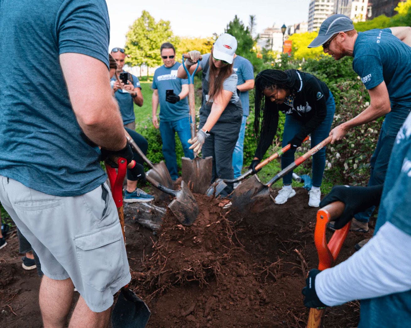 Urban Forestry Action Fund - Image 5