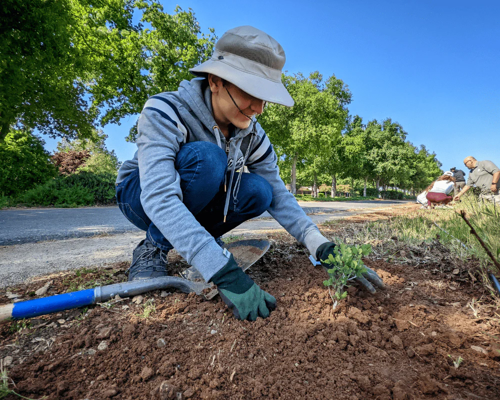 Urban Forestry Action Fund - Image 6