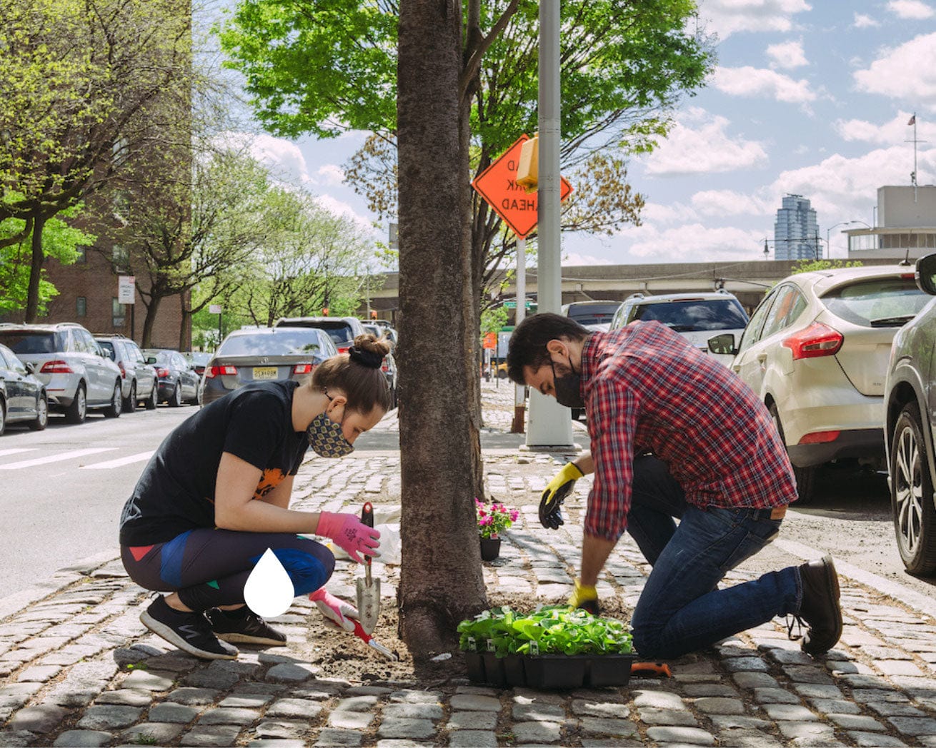 Urban Forestry Action Fund - Image 8