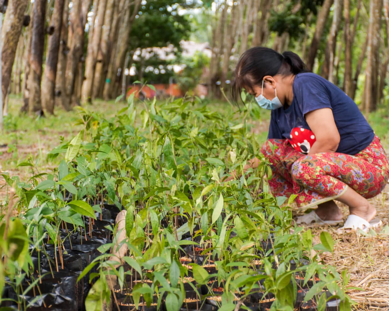 Women's Empowerment Fund - Image 6