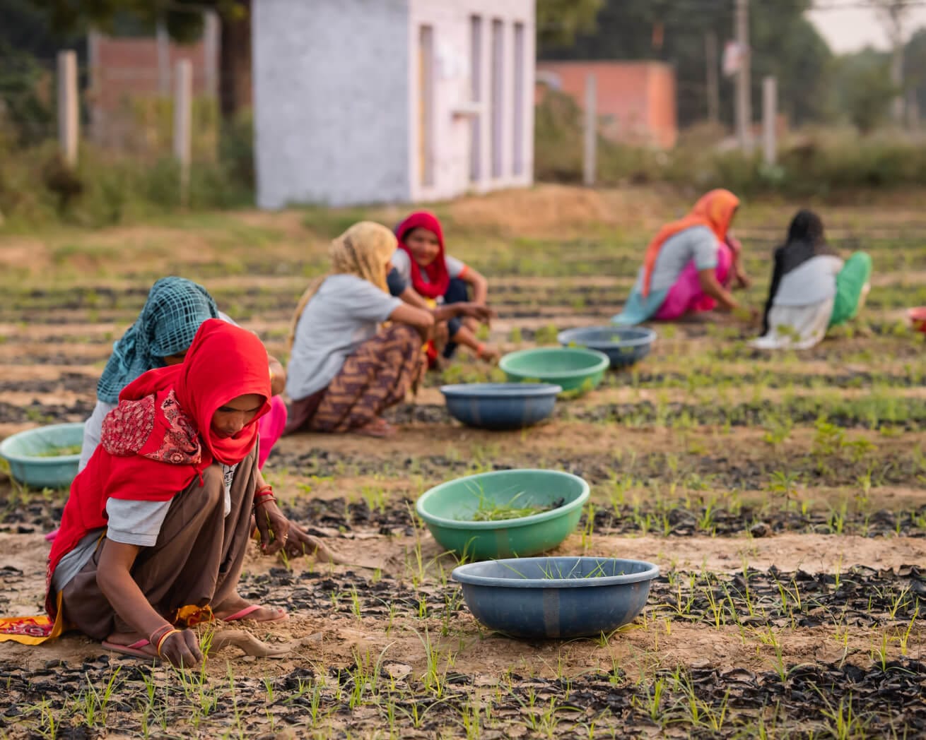 Women's Empowerment Fund - Image 8